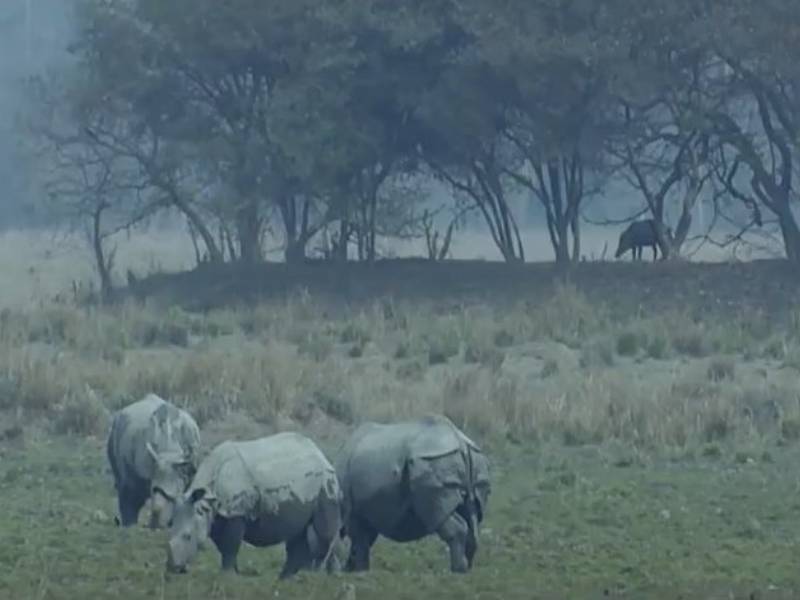 Sikar Aru Sitkaar - First Look